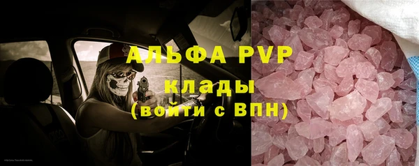 ПСИЛОЦИБИНОВЫЕ ГРИБЫ Рославль