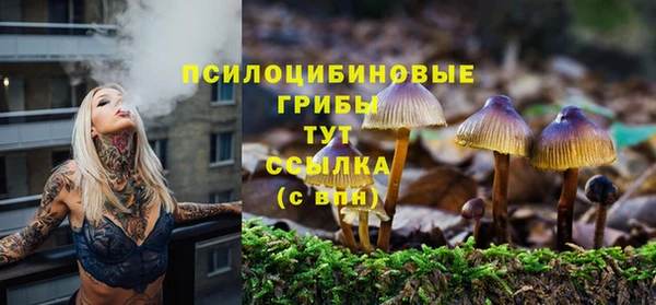гашиш Богородск