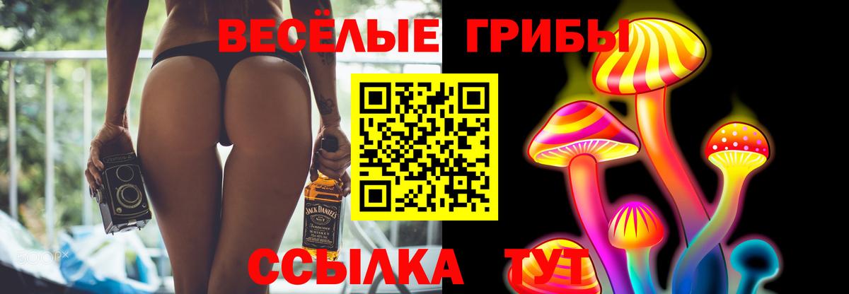 Галлюциногенные грибы ЛСД  Вход с VPN  купить  цена  Спасск-Дальний 